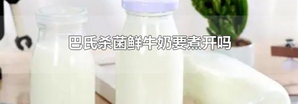 巴氏杀菌鲜牛奶要煮开吗
