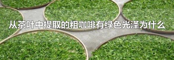 从茶叶中提取的粗咖啡有绿色光泽为什么