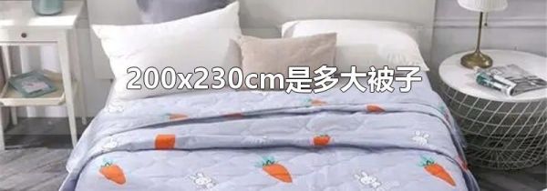 200x230cm是多大被子
