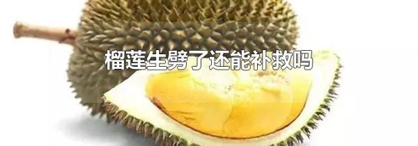 榴莲生劈了还能补救吗