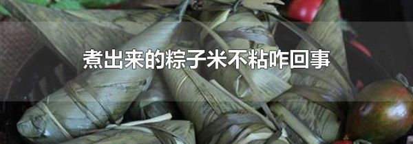 煮出来的粽子米不粘咋回事