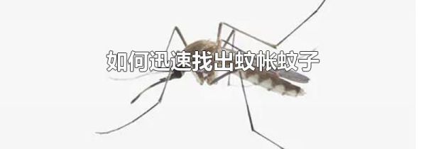 如何迅速找出蚊帐蚊子