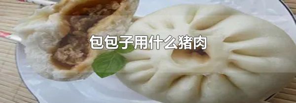 包包子用什么猪肉