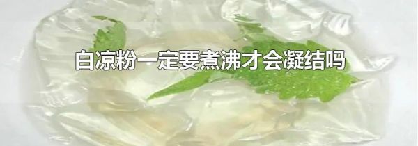 白凉粉一定要煮沸才会凝结吗