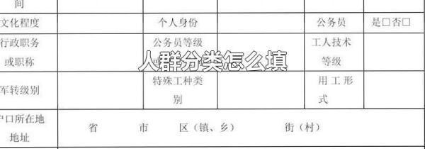 人群分类怎么填