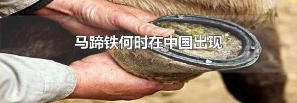 马蹄铁何时在中国出现