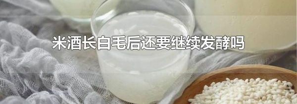 米酒长白毛后还要继续发酵吗