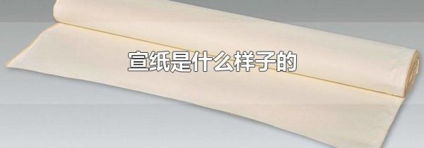 宣纸是什么样子的