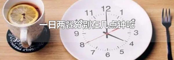 一日两餐分别在几点钟吃