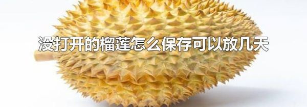 没打开的榴莲怎么保存可以放几天