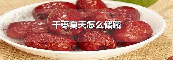 干枣夏天怎么储藏
