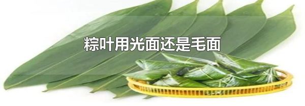 粽叶用光面还是毛面