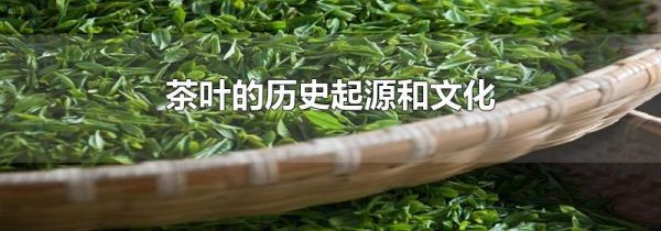 茶叶的历史起源和文化