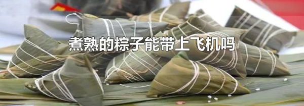 煮熟的粽子能带上飞机吗