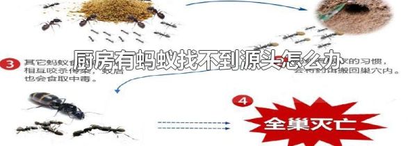 厨房有蚂蚁找不到源头怎么办