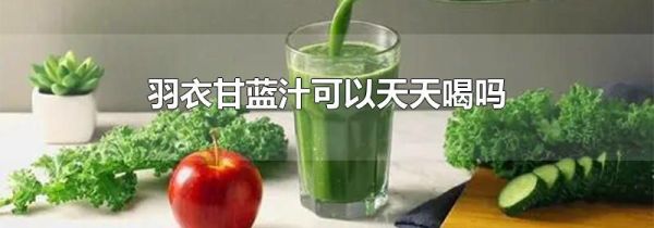 羽衣甘蓝汁可以天天喝吗
