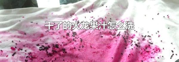 干了的火龙果汁怎么洗