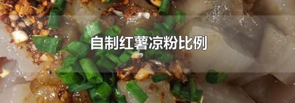 自制红薯凉粉比例