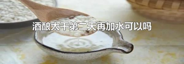 酒酿太干第二天再加水可以吗