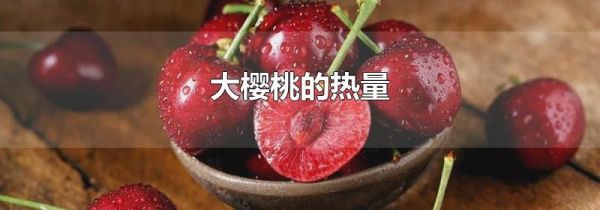 大樱桃的热量