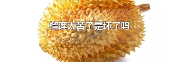 榴莲太苦了是坏了吗