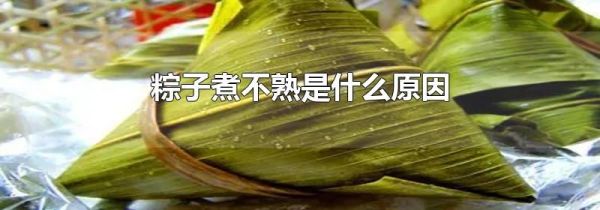 粽子煮不熟是什么原因