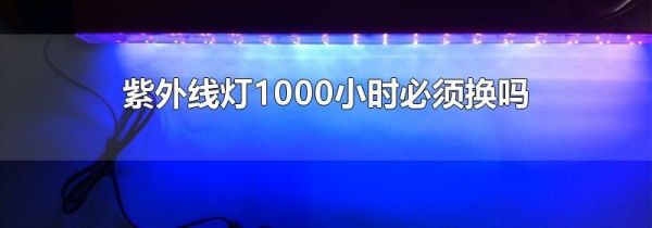 紫外线灯1000小时必须换吗