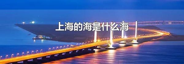 上海的海是什么海