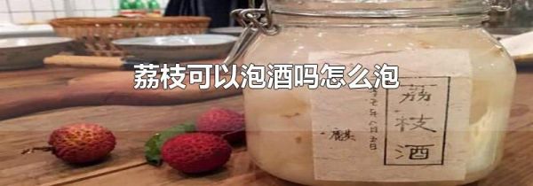 荔枝可以泡酒吗怎么泡