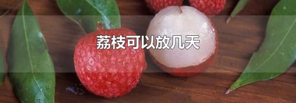荔枝可以放几天