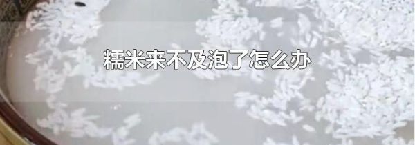 糯米来不及泡了怎么办