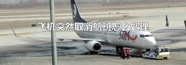 飞机突然取消航班怎么处理