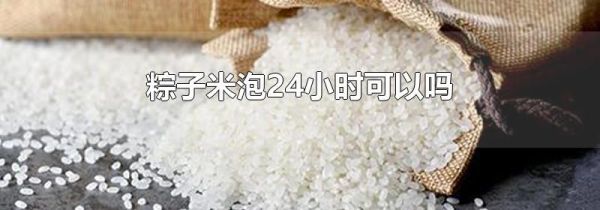 粽子米泡24小时可以吗