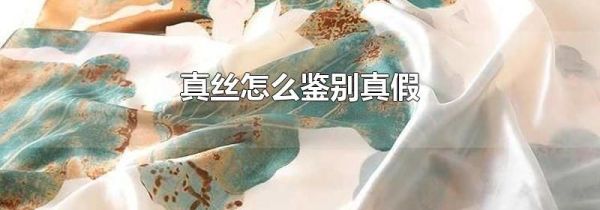 真丝怎么鉴别真假