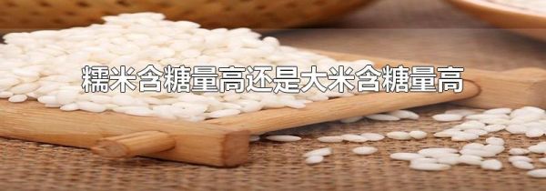 糯米含糖量高还是大米含糖量高
