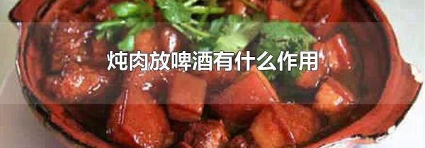 炖肉放啤酒有什么作用