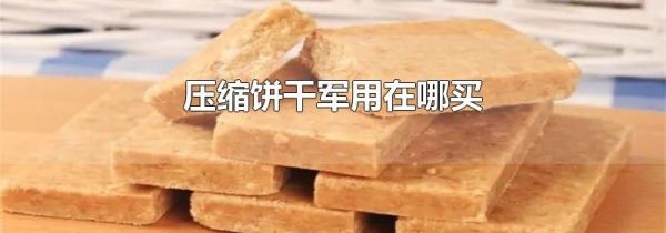 压缩饼干军用在哪买