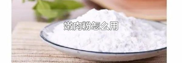 嫩肉粉怎么用