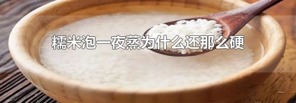 糯米泡一夜蒸为什么还那么硬