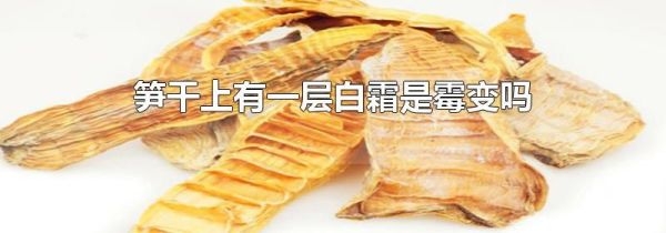 笋干上有一层白霜是霉变吗