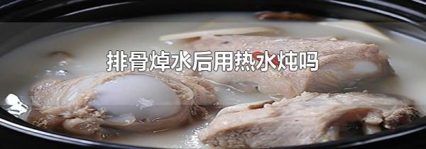 排骨焯水后用热水炖吗
