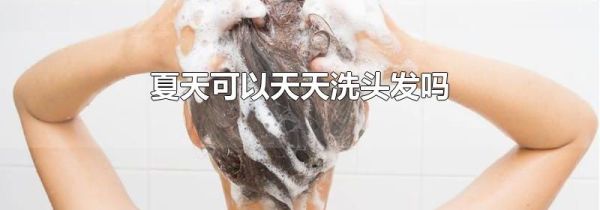 夏天可以天天洗头发吗