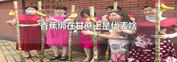 香蕉绑在甘蔗上是代表啥