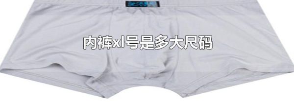 内裤xl号是多大尺码