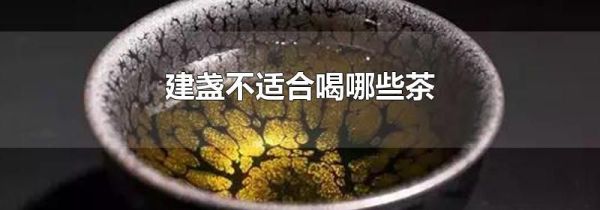 建盏不适合喝哪些茶