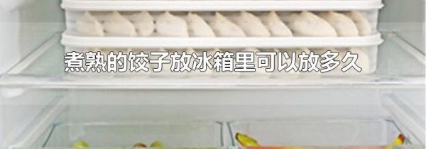 煮熟的饺子放冰箱里可以放多久