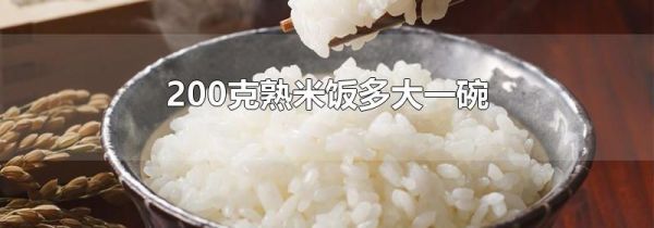 200克熟米饭多大一碗