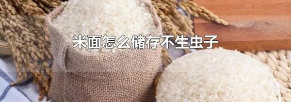 米面怎么储存不生虫子