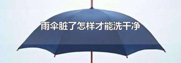 雨伞脏了怎样才能洗干净