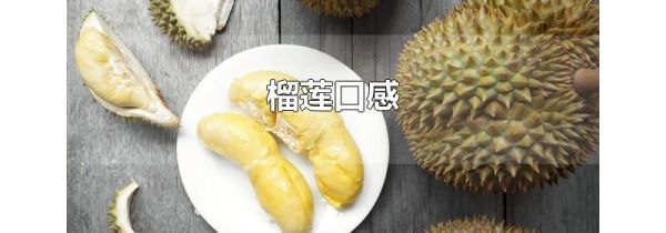 榴莲口感
